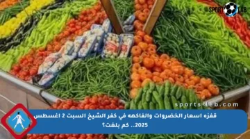 قفزة أسعار الخضروات والفاكهة في كفر الشيخ السبت 2 أغسطس 2025.. كم بلغت؟
